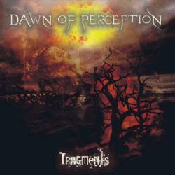 Dawn Of Perception : Fragments